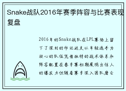 Snake战队2016年赛季阵容与比赛表现复盘